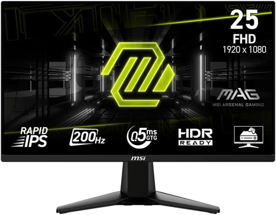 Monitor Msi Mag 25 G255F E20 Ips 200hz FHD Dp/Hdmi
